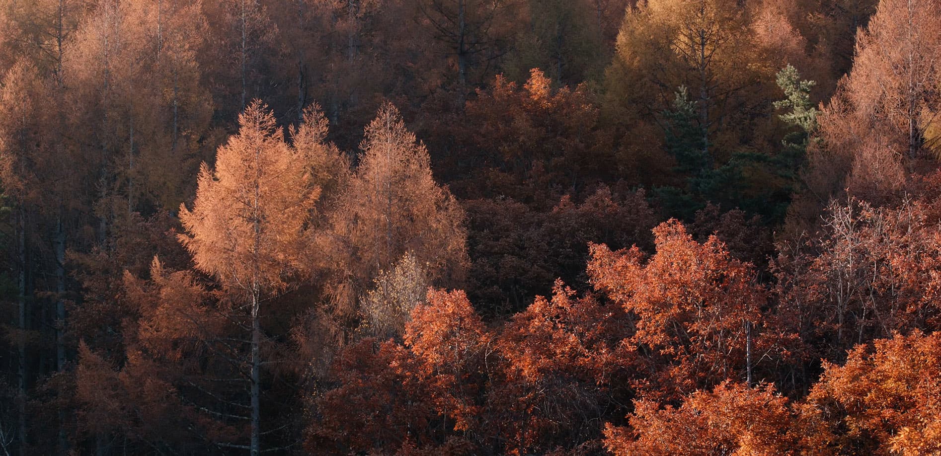 秋の御射鹿池_12K 