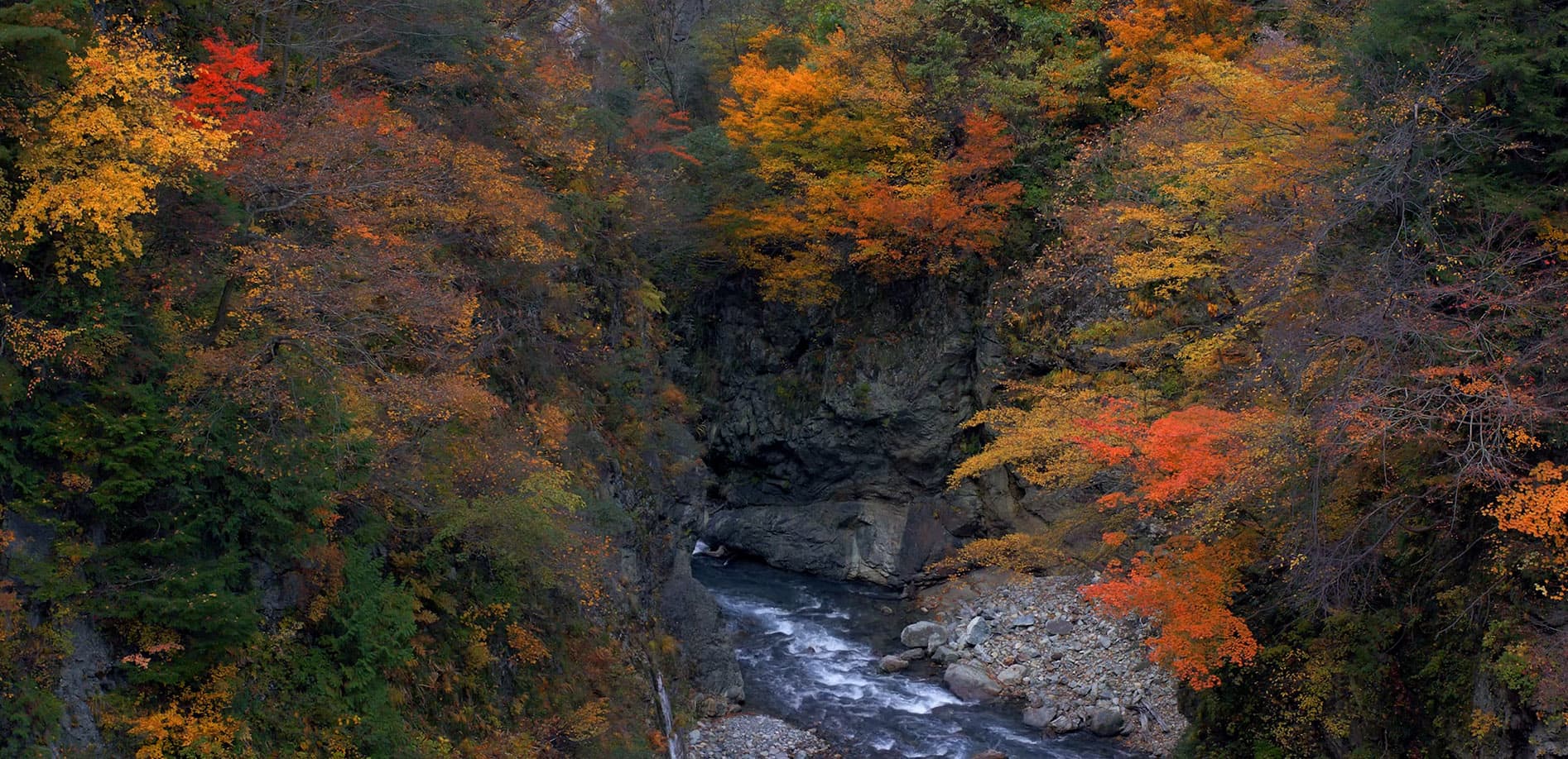 秋の黒部峡谷_12K