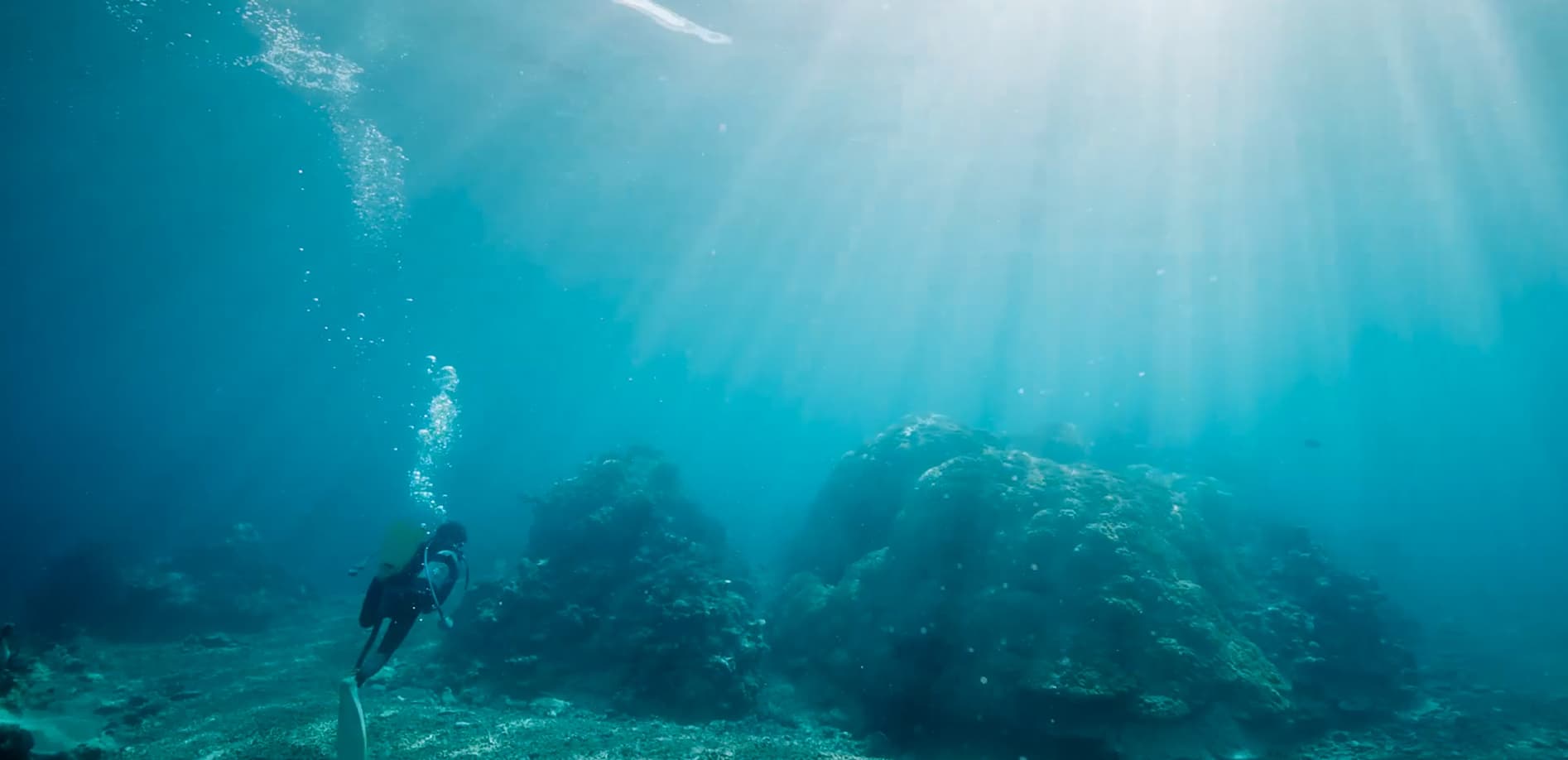 米原Wリーフに潜る_4K