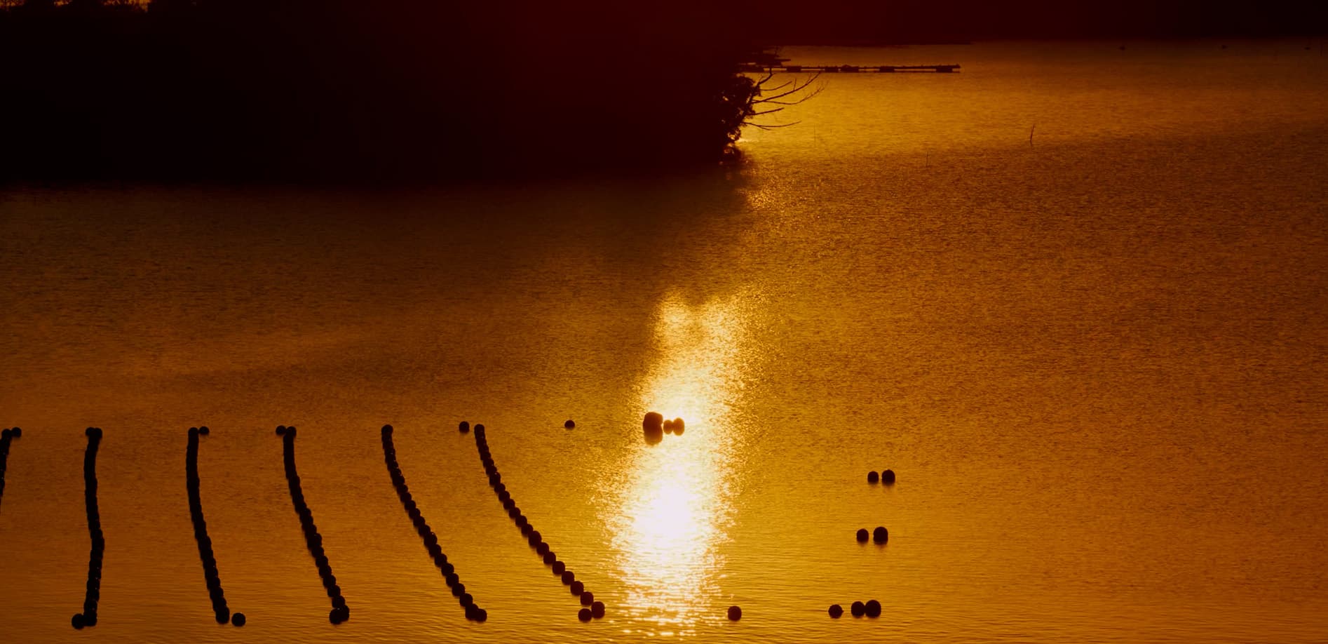 伊勢志摩 英虞湾の夕景_12K