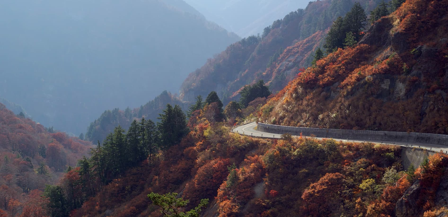 白山白川郷ホワイトロード  紅葉_12K