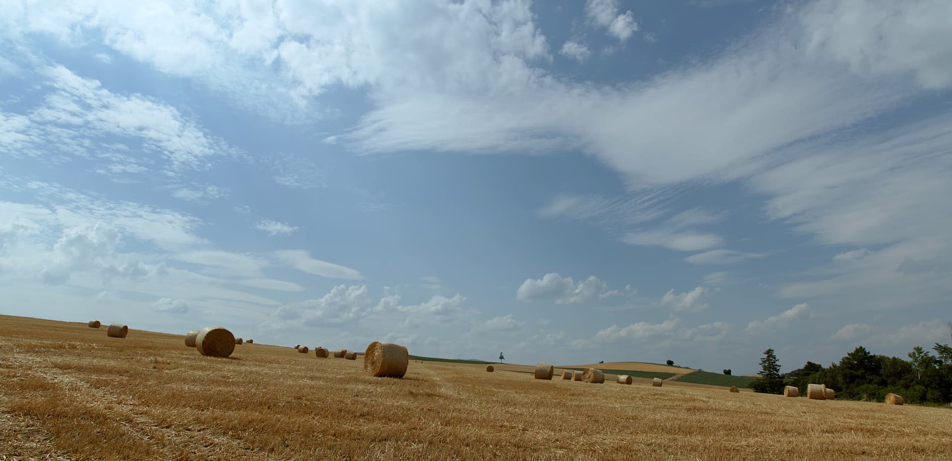 丘のまち美瑛_12K