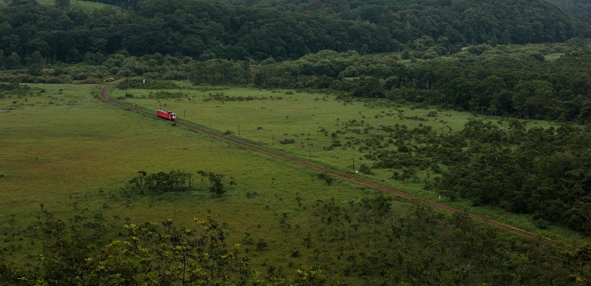 釧路湿原の夏_12K