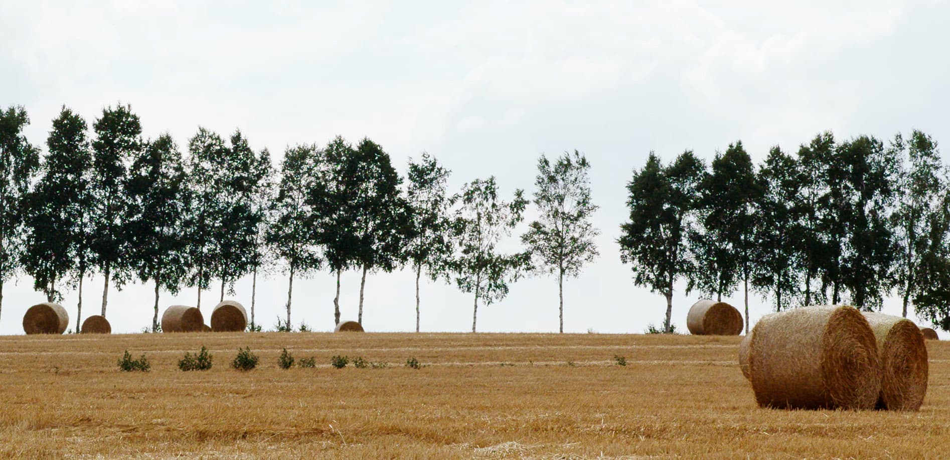 丘のまち美瑛_12K WIDE 48:9