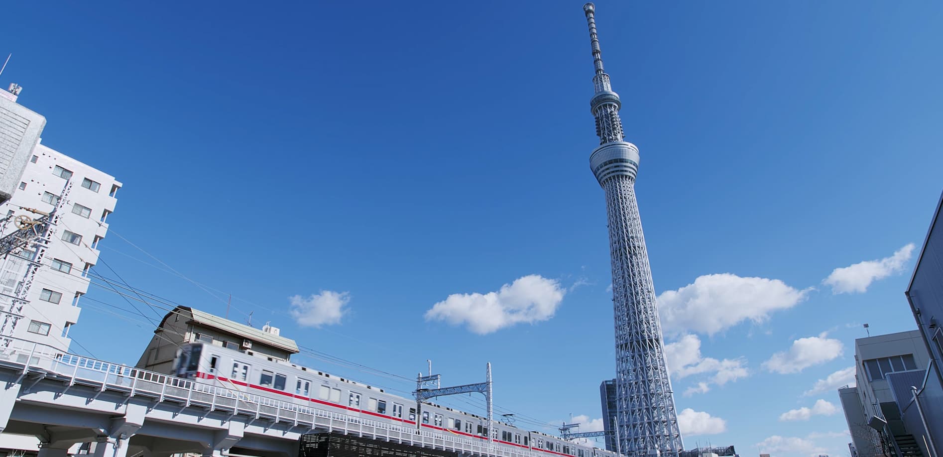 スカイツリーのある風景_12K