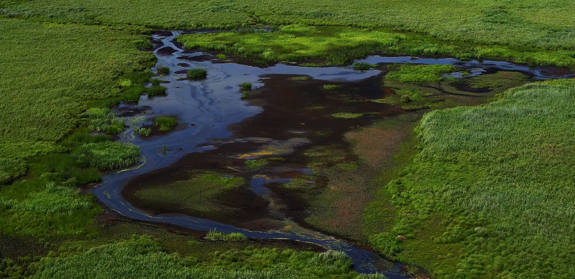 空から見る釧路湿原_8K