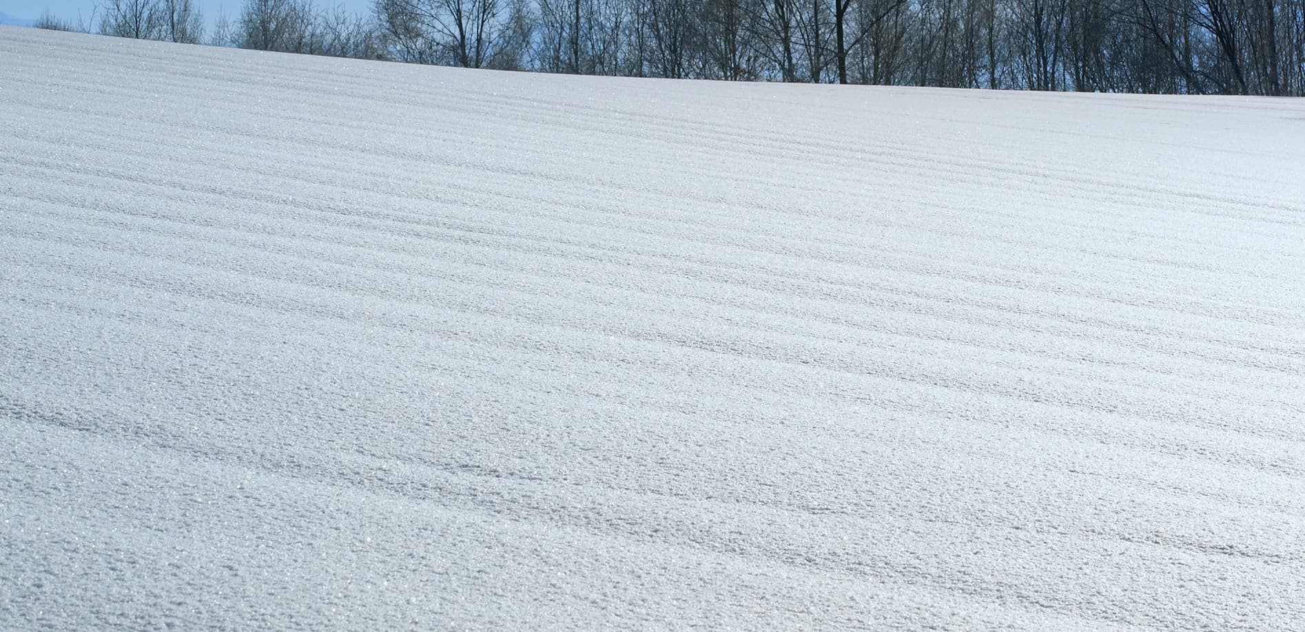 美瑛の冬 vol.1_12K  