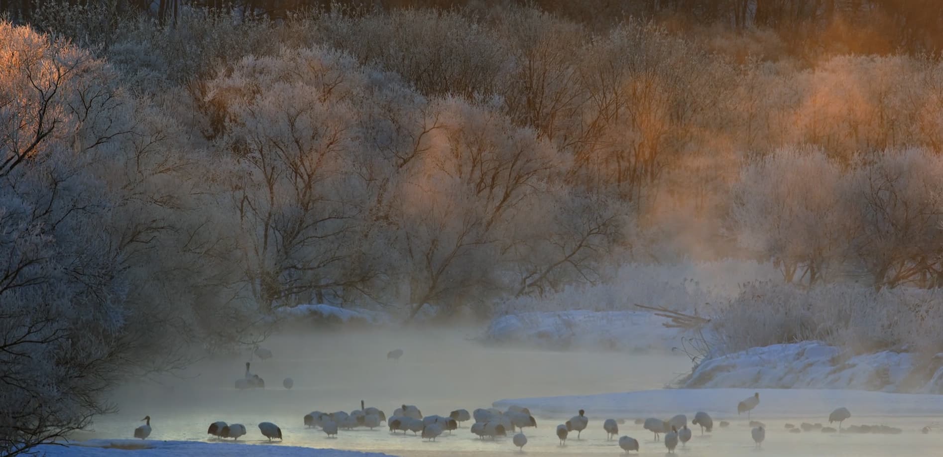 釧路湿原の冬 Vol.2 夜明けの釧路川_12K