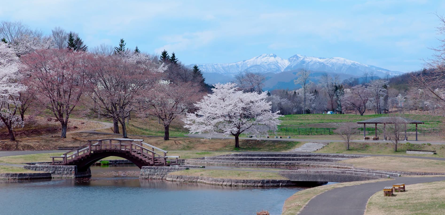 宮城 みちのく杜の湖畔公園の春_12K