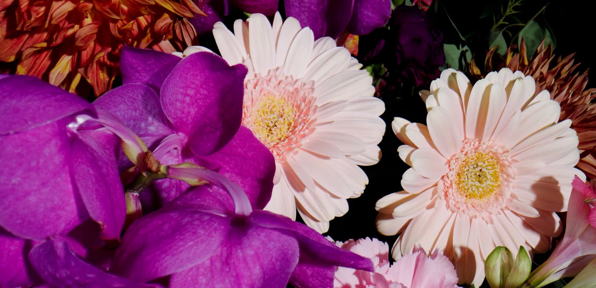 セレブレーションフラワー