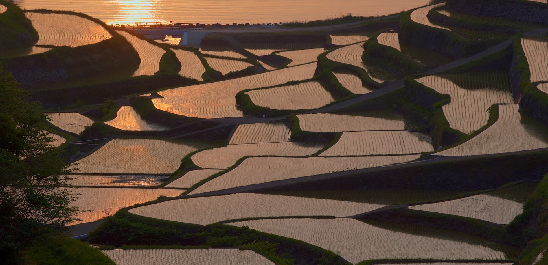 佐賀 浜野浦の棚田_8K