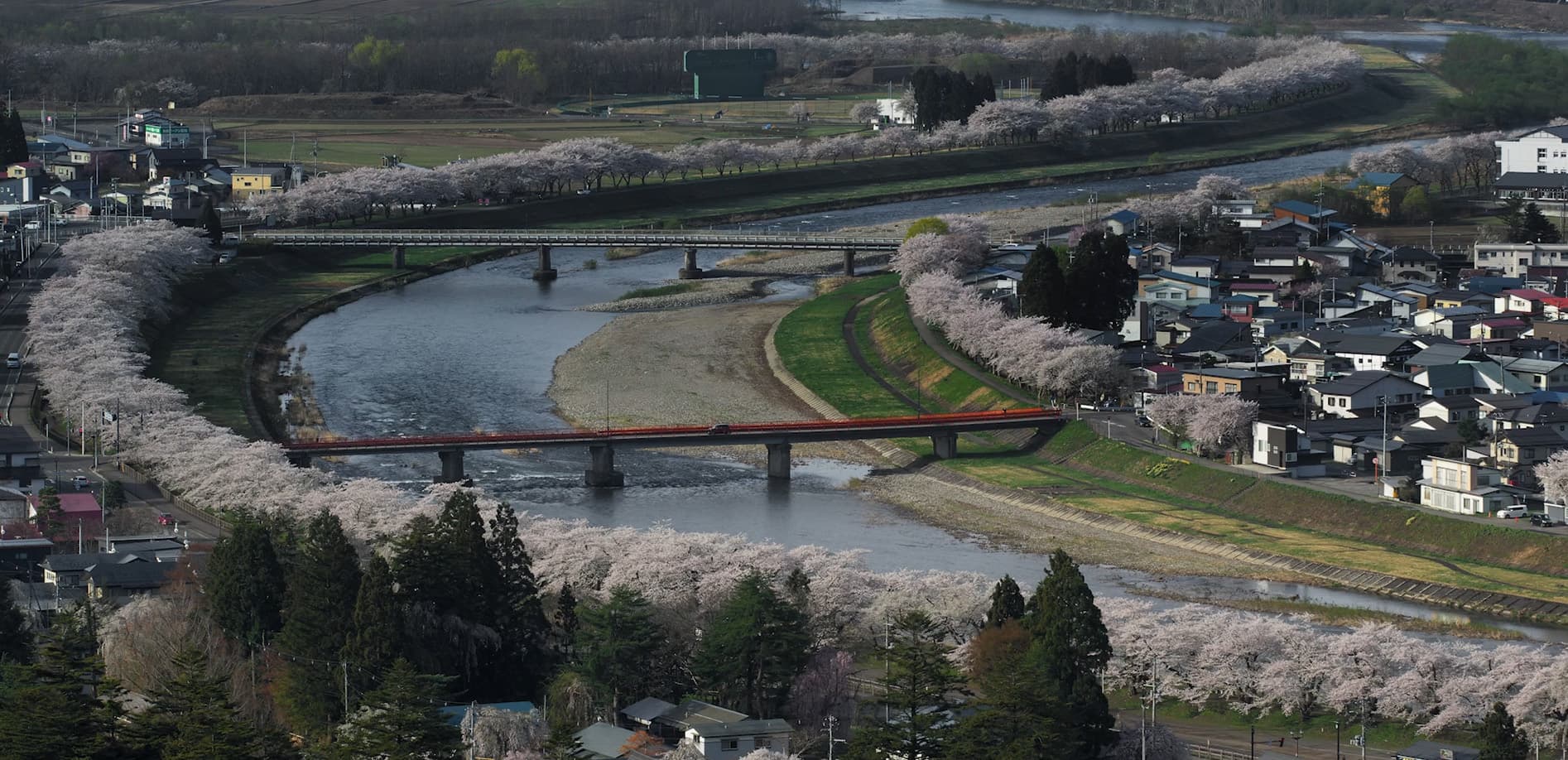 秋田 角館の桜_12K