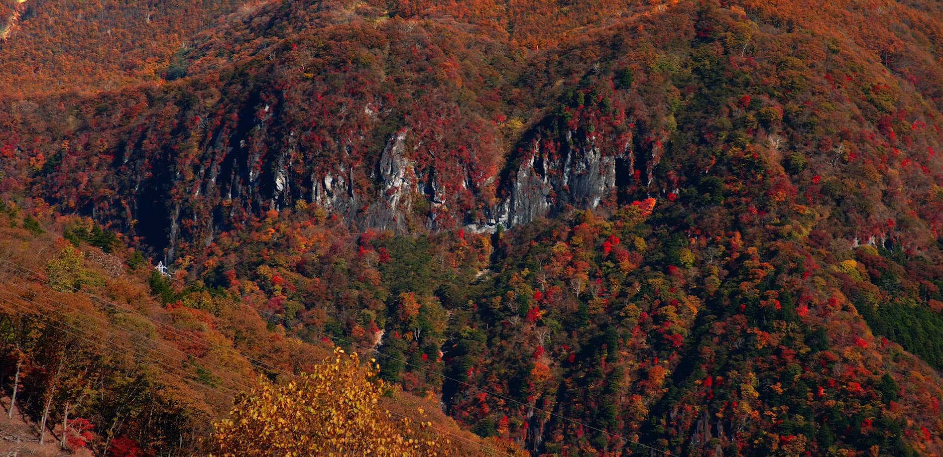 日光 いろは坂の紅葉_12K