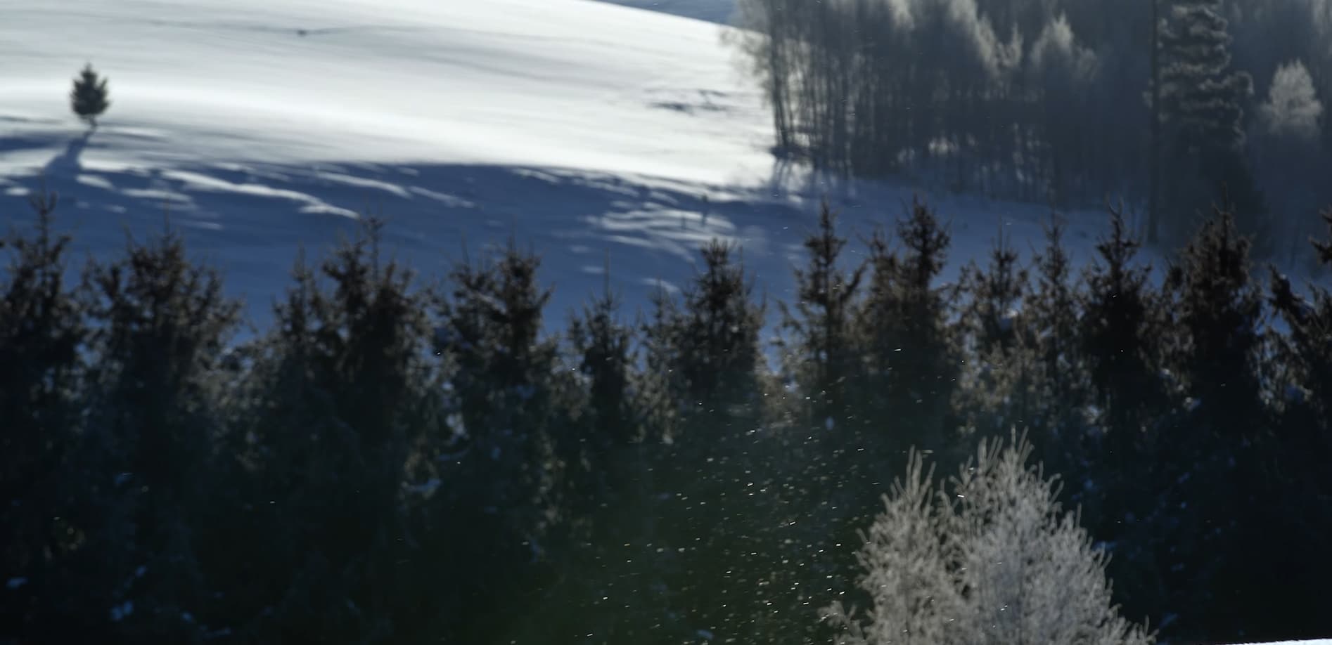 美瑛 ダイヤモンドダスト_12K 