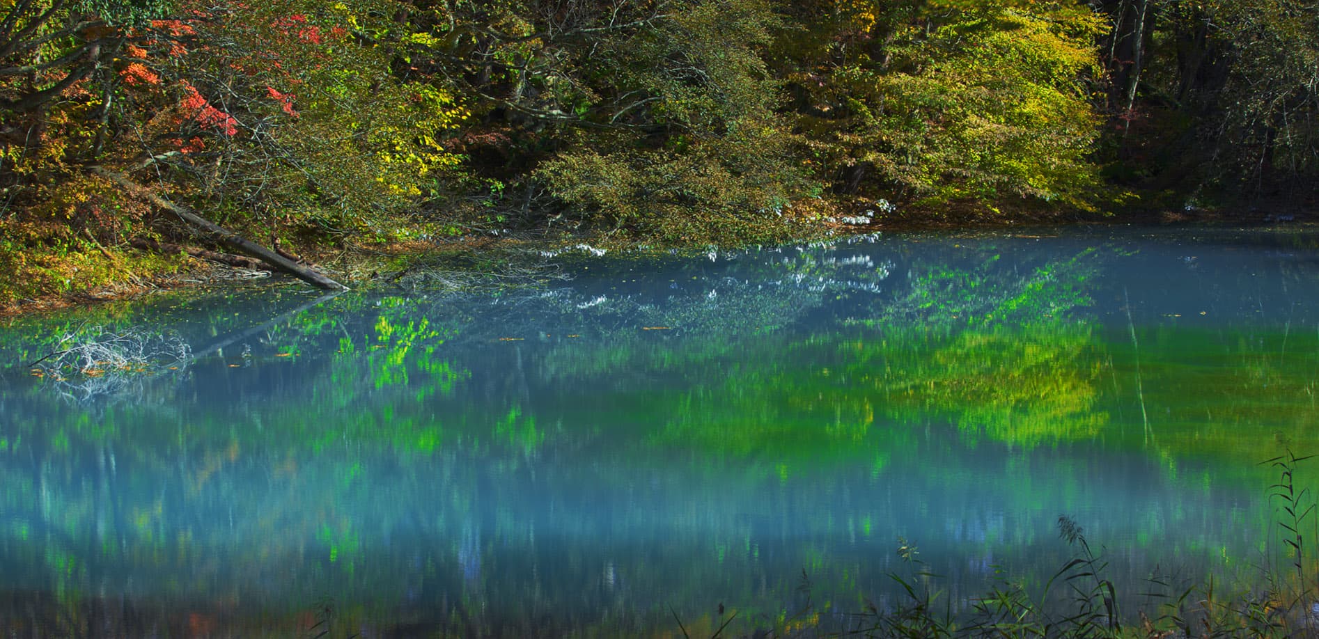 福島 初秋の五色沼_12K