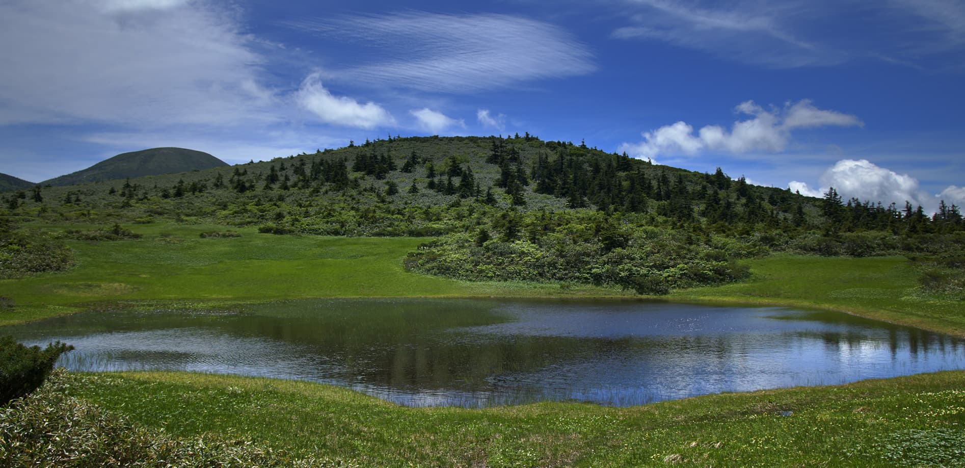 八甲田からの眺望_8K