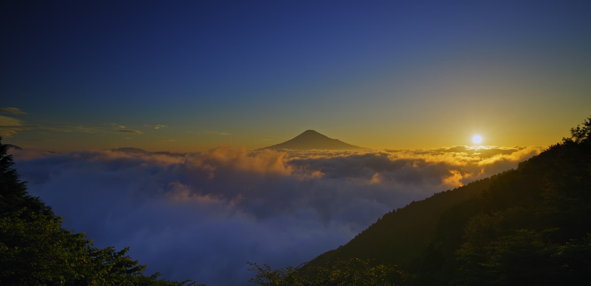 雲海の富士山_8K