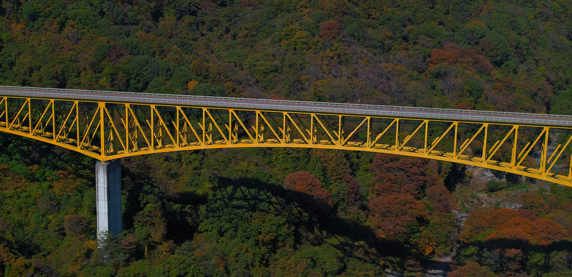 山梨 八ヶ岳高原大橋_8K