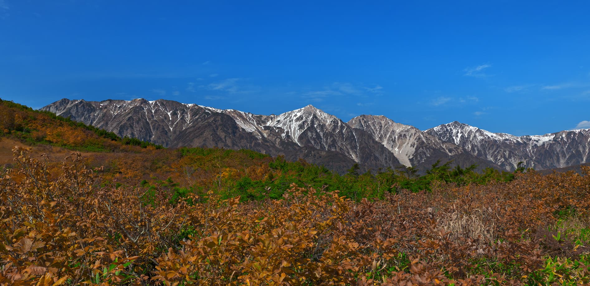 信州 秋の絶景シリーズ Vol.6 白馬 八方池の風景_8K