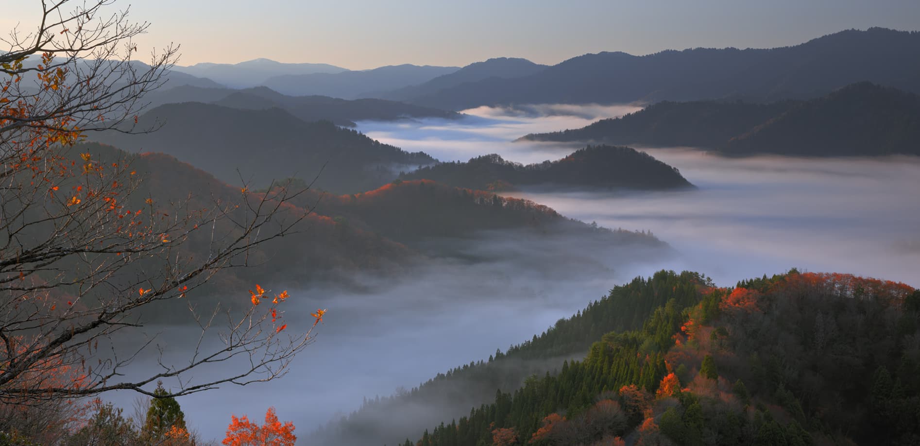 滋賀 おにゅう峠の雲海_8K