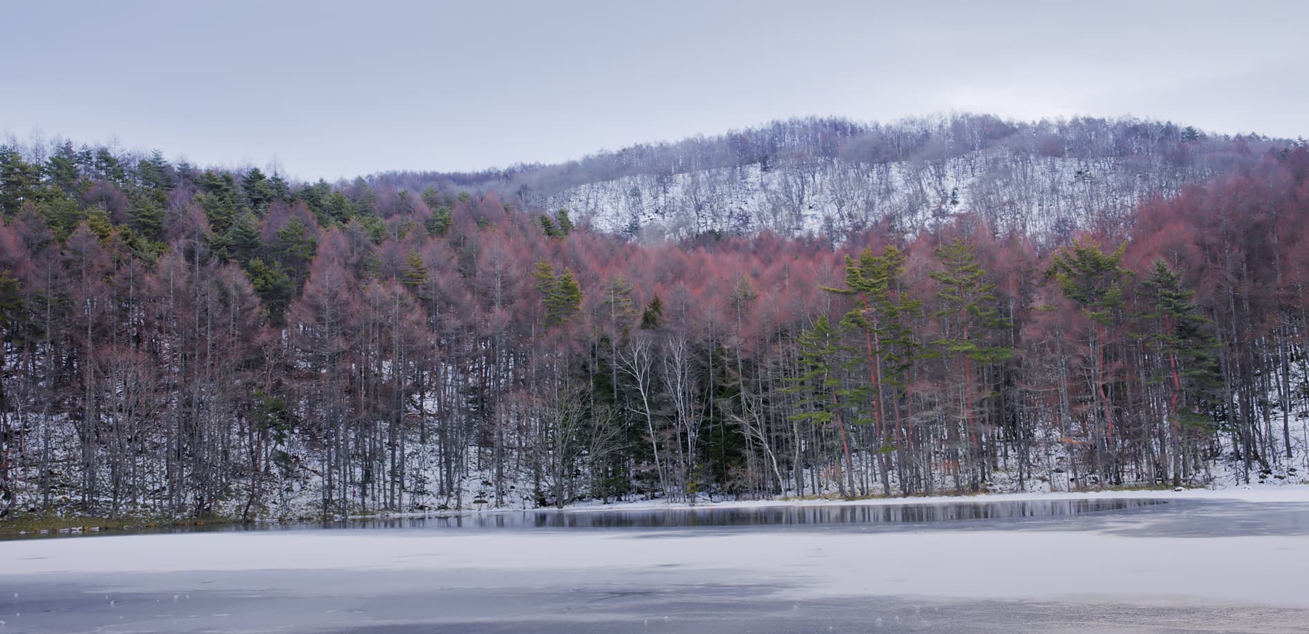 御射鹿池の冬_8K