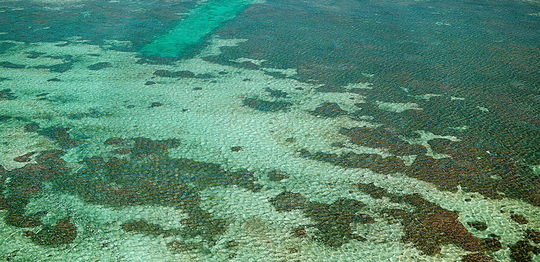 沖縄 備瀬の海_8K