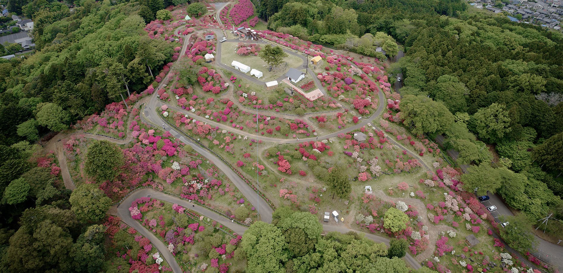 ツツジの名所 笠間