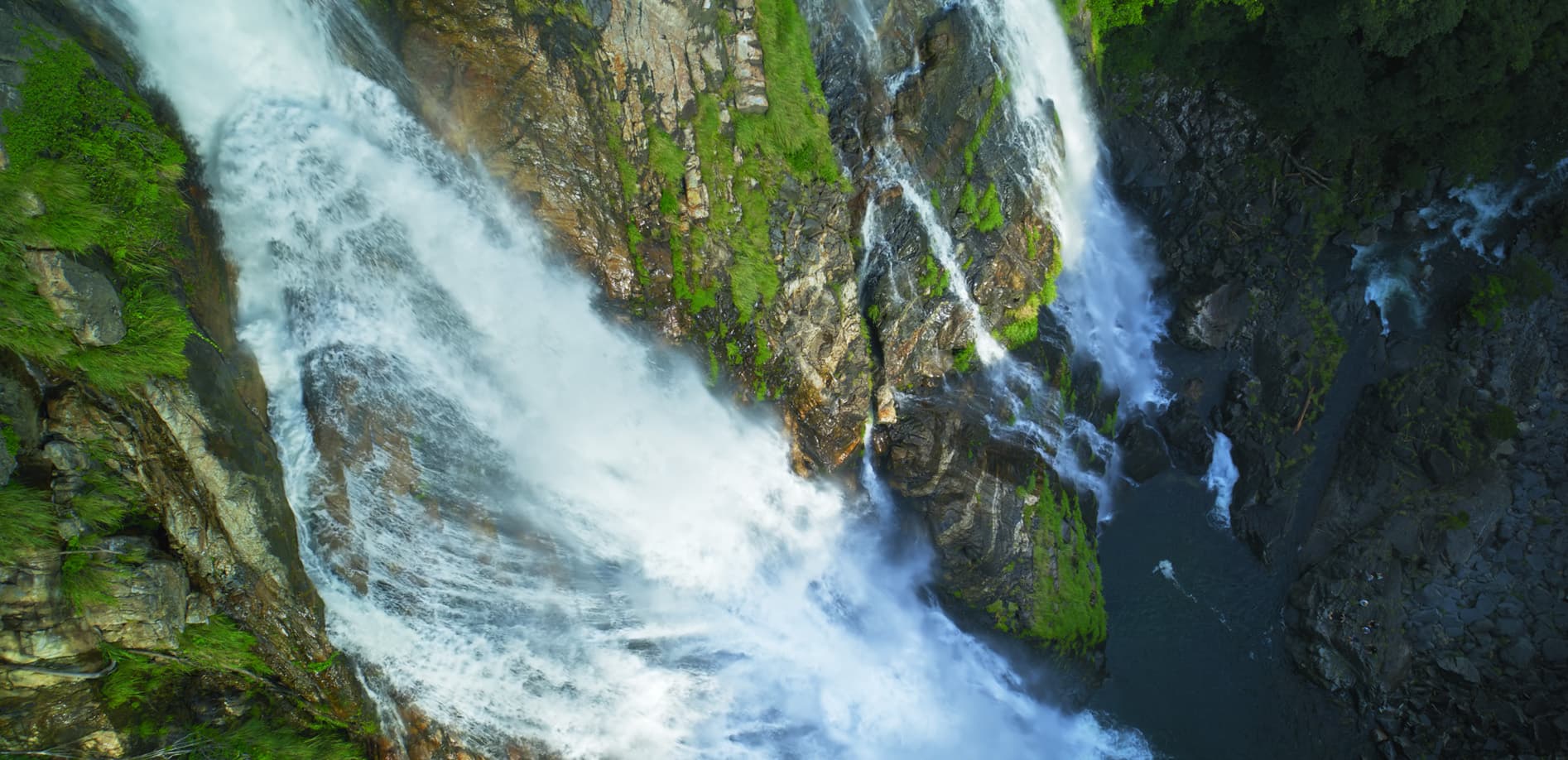 屋久島 大川の滝